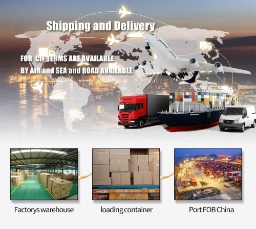 运输 2 e1738817915820